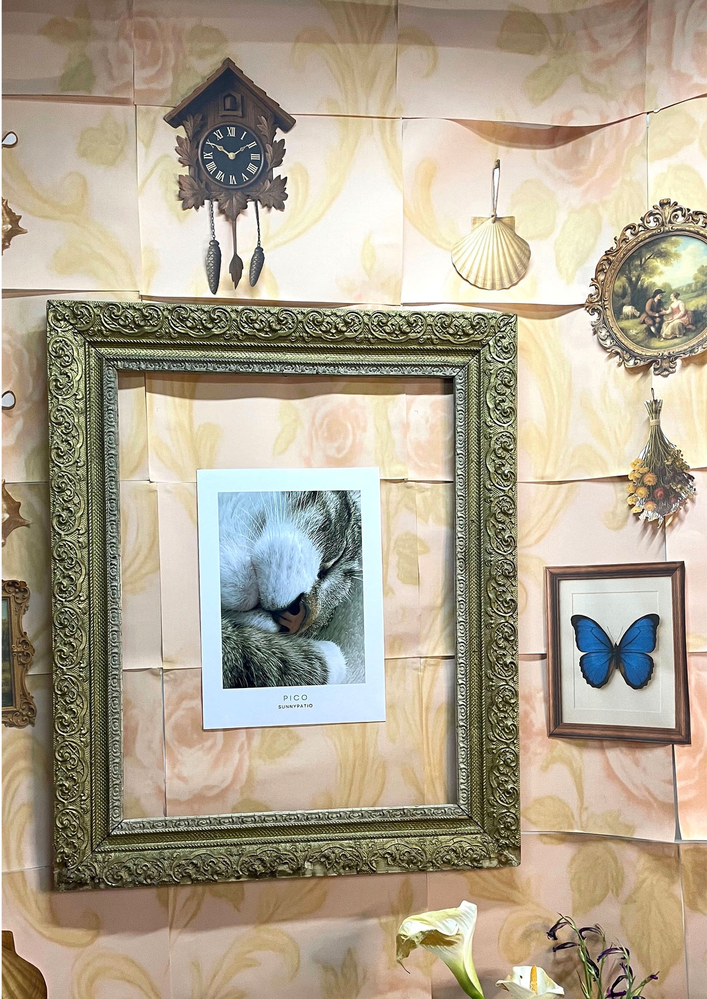 CATS - Pico Certified Nap Expert