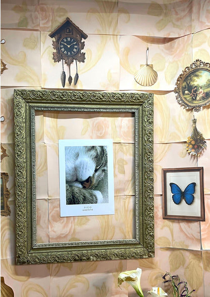 CATS - Pico Certified Nap Expert