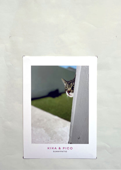 CATS - Who's There? says Pico