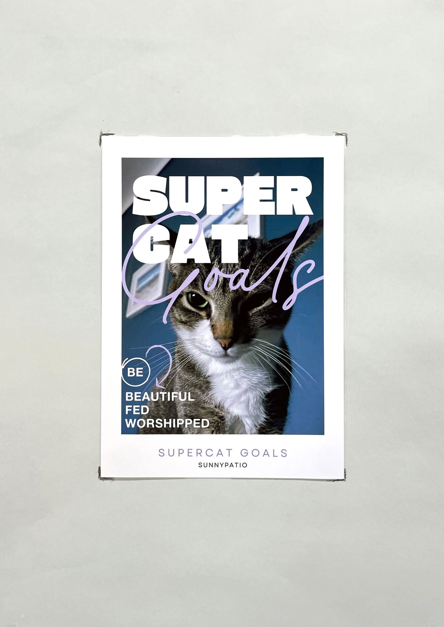 CATS - Nine Live, Infinite Charm