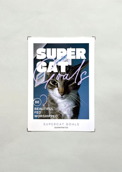 CATS - Nine Live, Infinite Charm